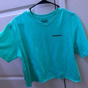 Patagonia cropped tee